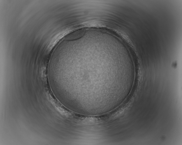 X0000116490881200912231149