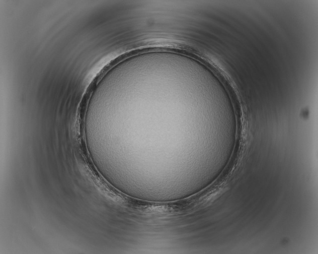 X0000116490883200912231149