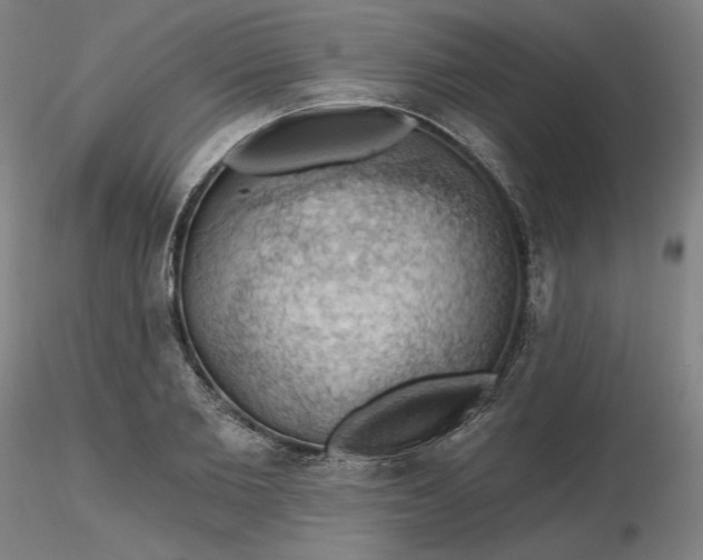 X0000116490885200912231149