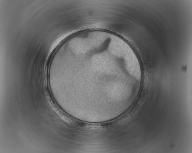 X0000116490886200912231149