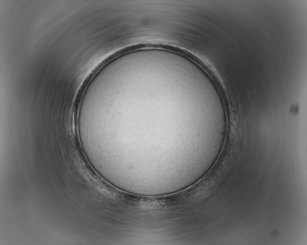 X0000116490887200912231149