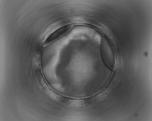 X0000116490889200912231149