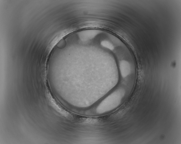 X0000116490890200912231149