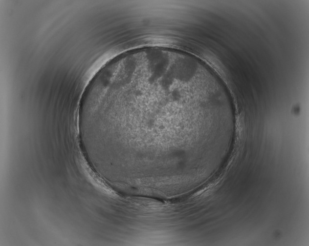 X0000116490891200912231149