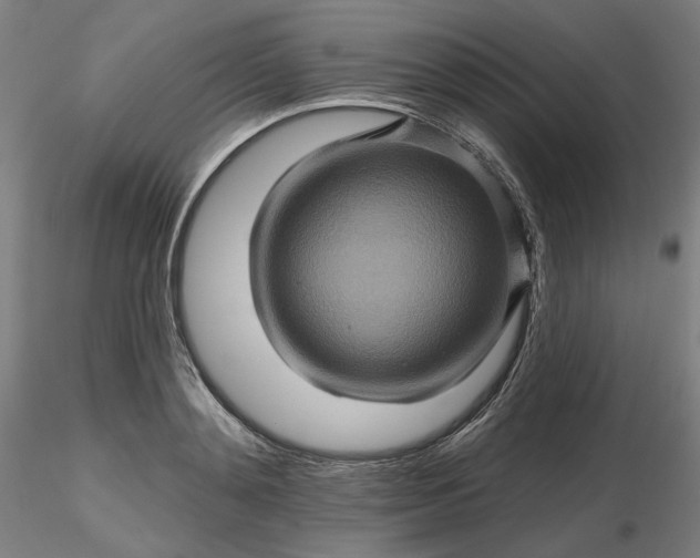 X0000116490892200912231149