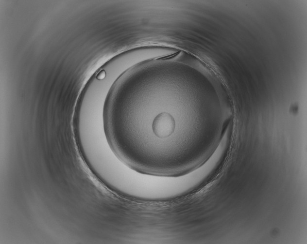 X0000116490893200912231149