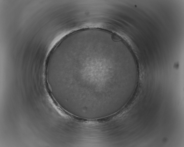 X0000116490894200912231149