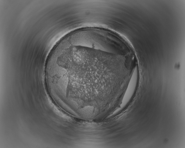 X0000116490895200912231149