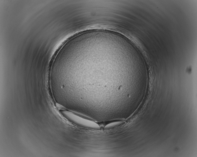 X0000116490896200912231149