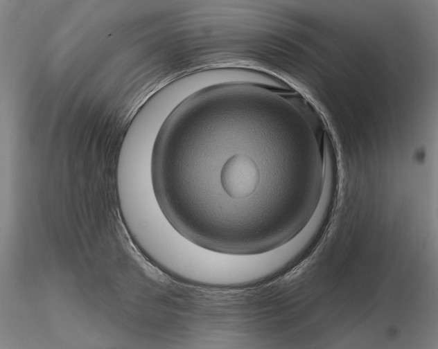 X0000116490897200912231149