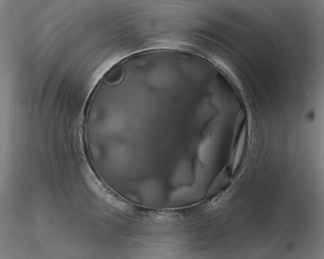 X0000116490899200912231149