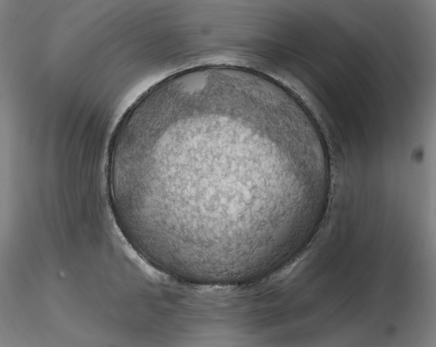 X0000116490902200912231149