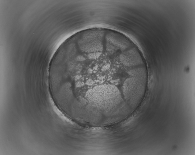 X0000116490903200912231149