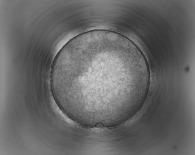 X0000116490906200912231149