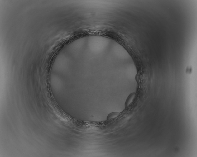 X0000116490913200912231148