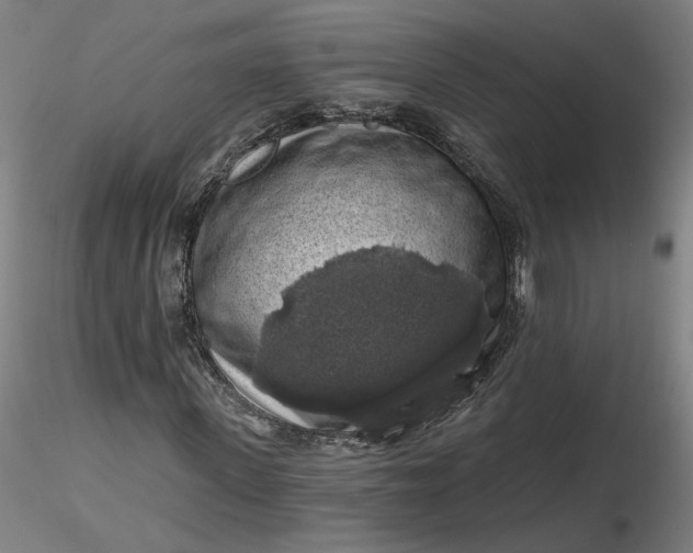 X0000116490915200912231148