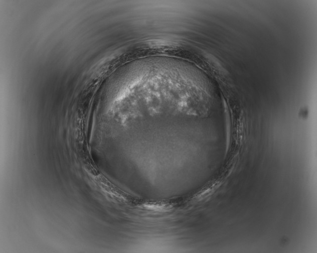 X0000116490917200912231148