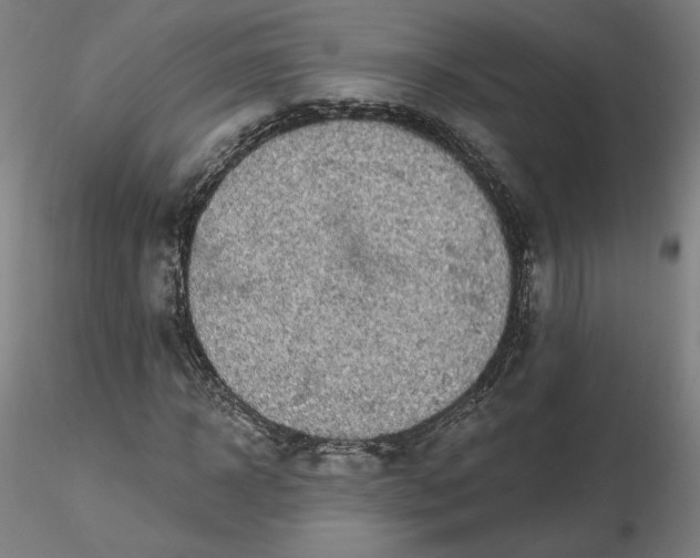 X0000116490918200912231148