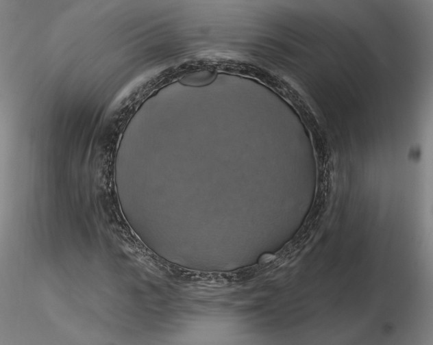 X0000116490919200912231148