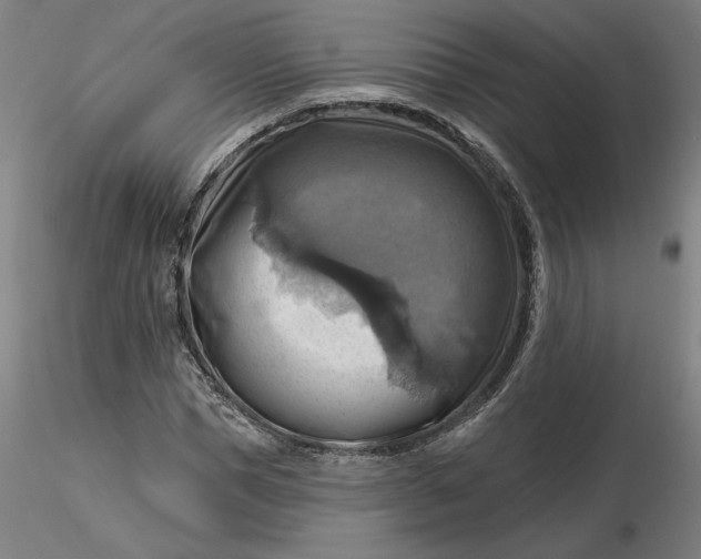 X0000116490921200912231148