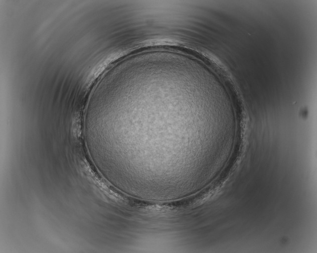 X0000116490929200912231148