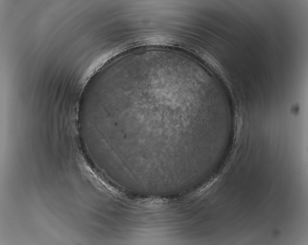 X0000116490930200912231148