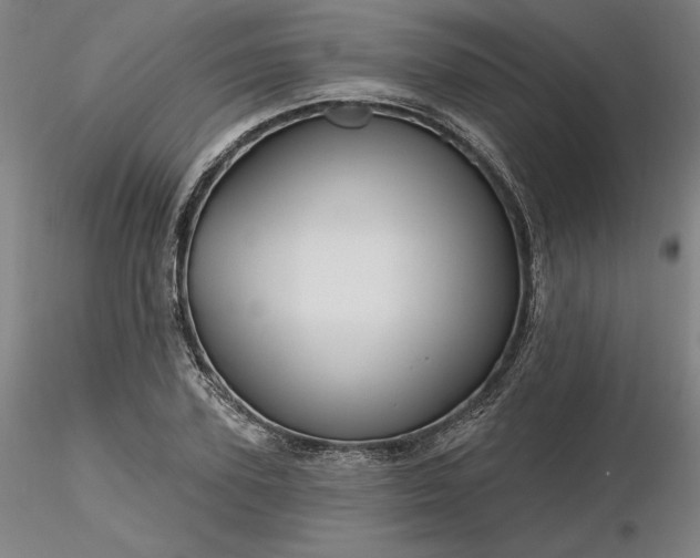 X0000116490931200912231148