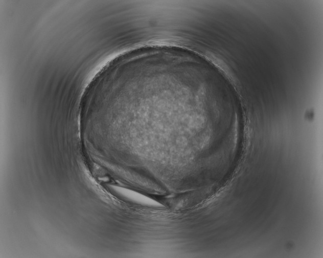 X0000116490934200912231148