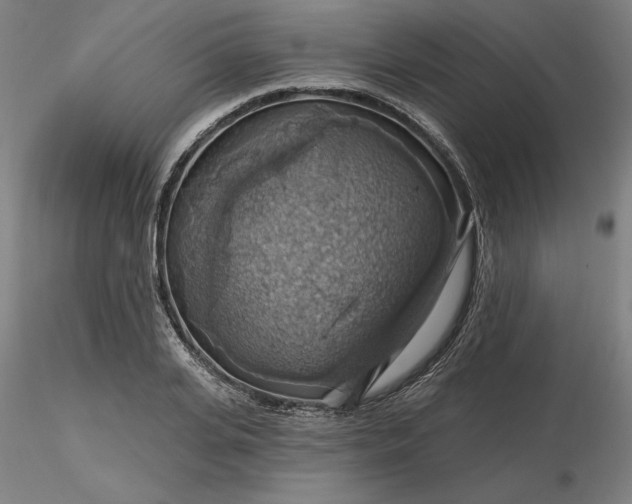 X0000116490935200912231148