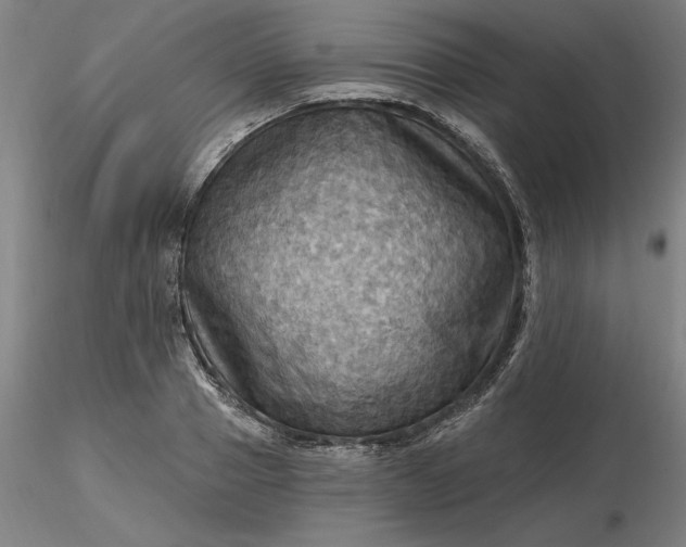 X0000116490937200912231148