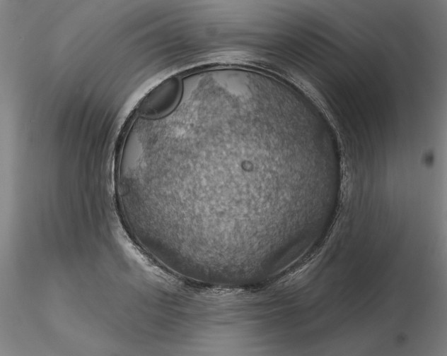 X0000116490939200912231148