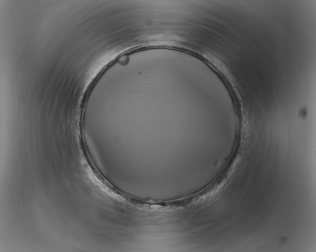 X0000116490941200912231148