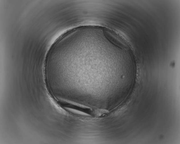 X0000116490942200912231148