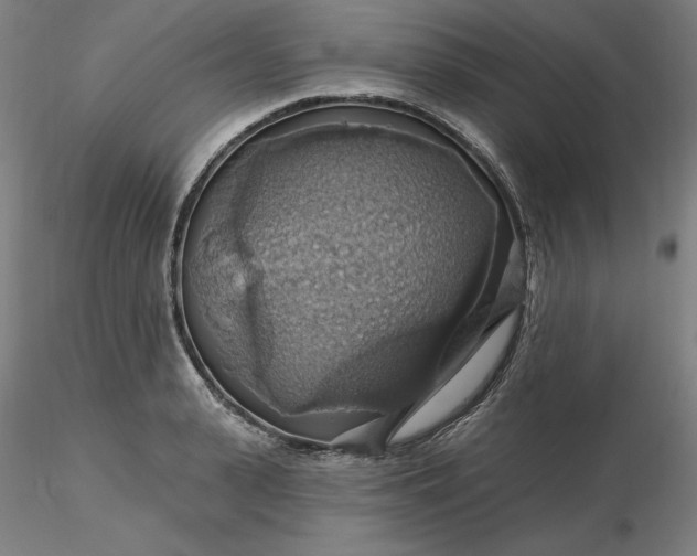 X0000116490943200912231148