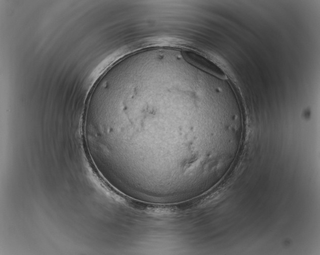 X0000116490946200912231148