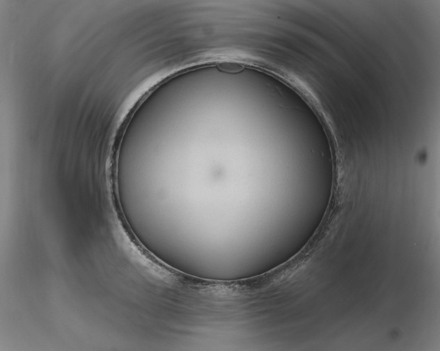 X0000116490947200912231148