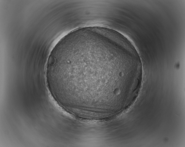 X0000116490949200912231148