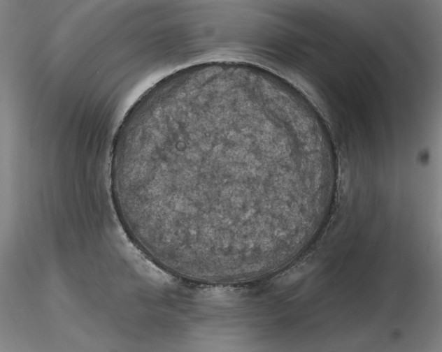 X0000116490950200912231148