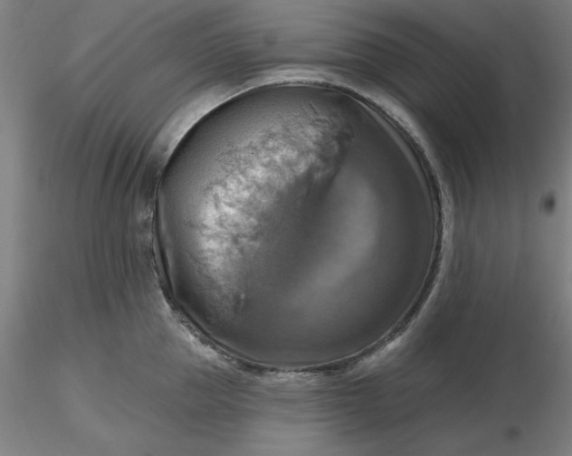 X0000116490953200912231149