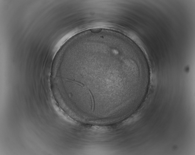 X0000116490954200912231149