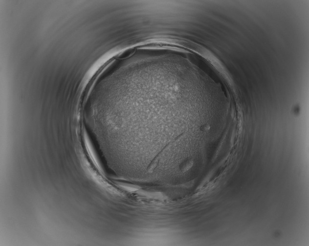 X0000116490955200912231149