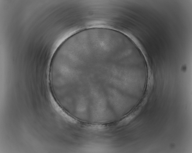 X0000116490957200912231149