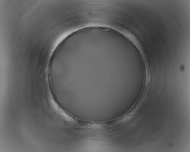 X0000116490958200912231149