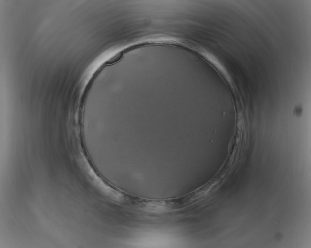 X0000116490959200912231149