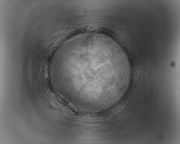 X0000116490962200912231148