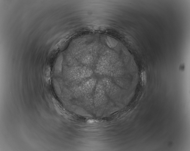 X0000116490963200912231148