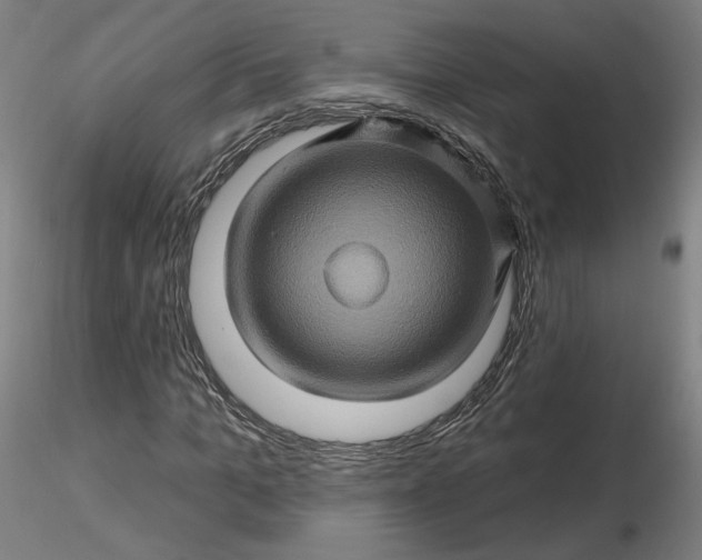 X0000116490965200912231148