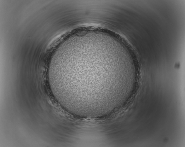 X0000116490967200912231148