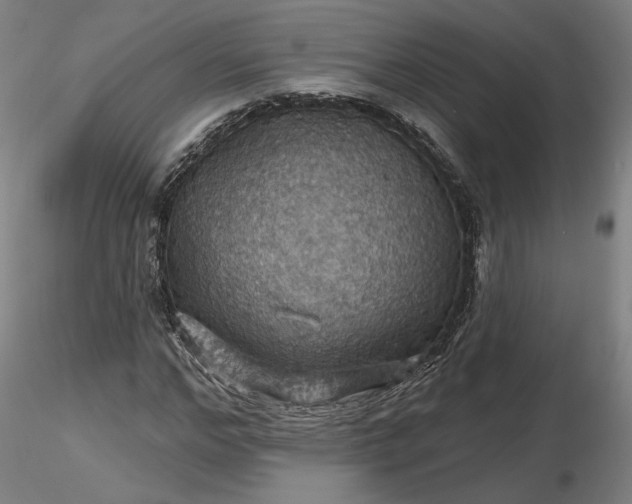 X0000116490968200912231148