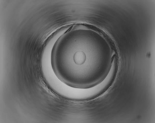 X0000116490969200912231148